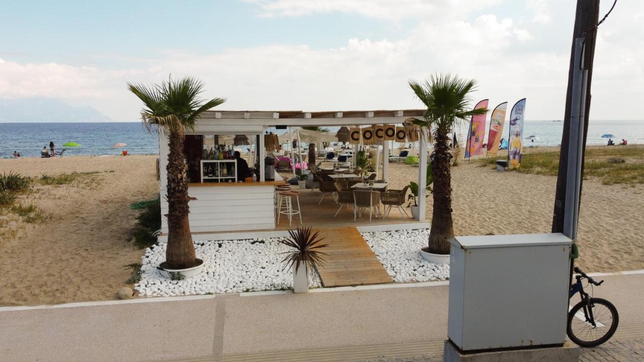Cocoon Hotel-Beach Bar サルティ エクステリア 写真