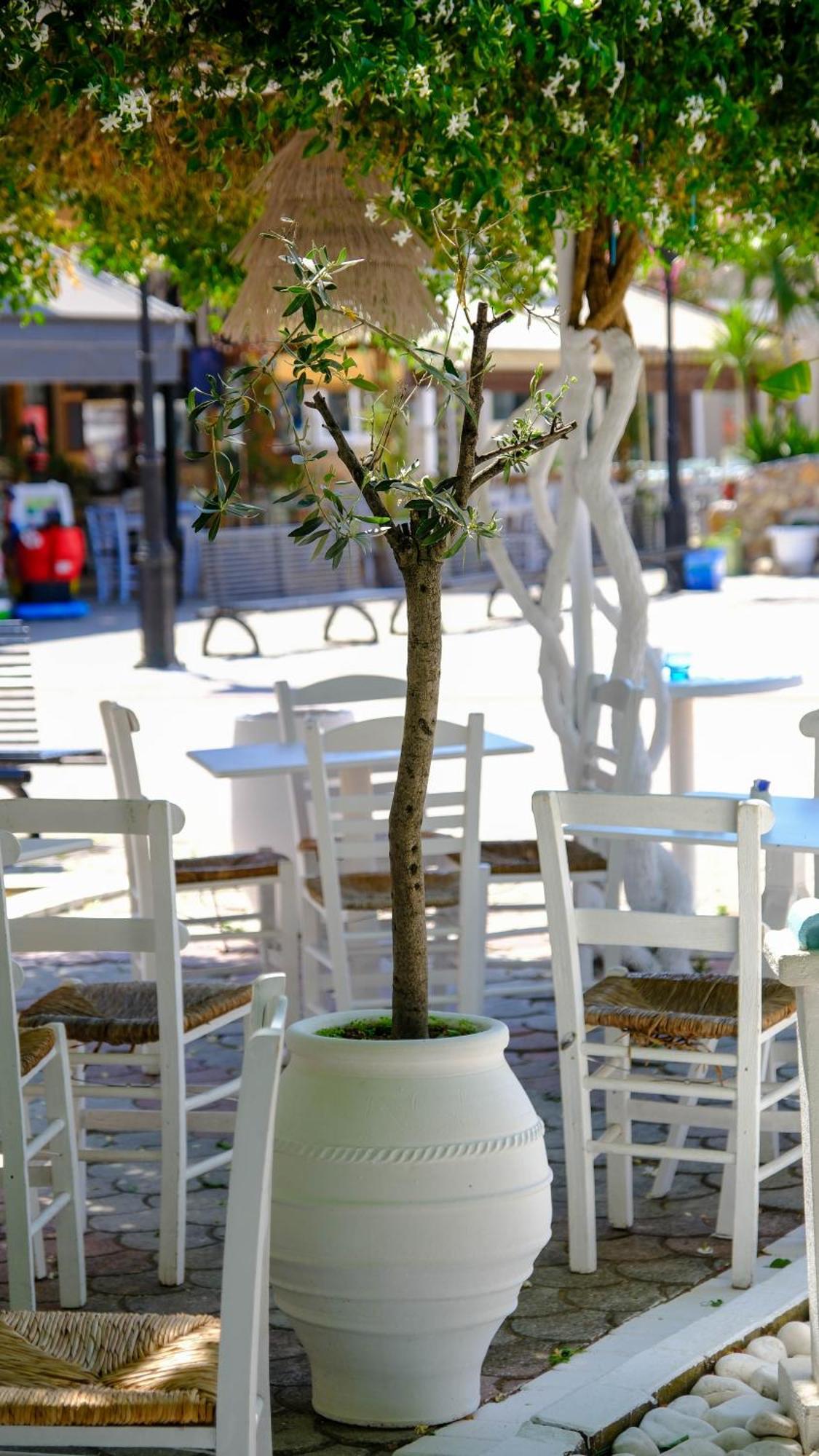 Cocoon Hotel-Beach Bar サルティ エクステリア 写真