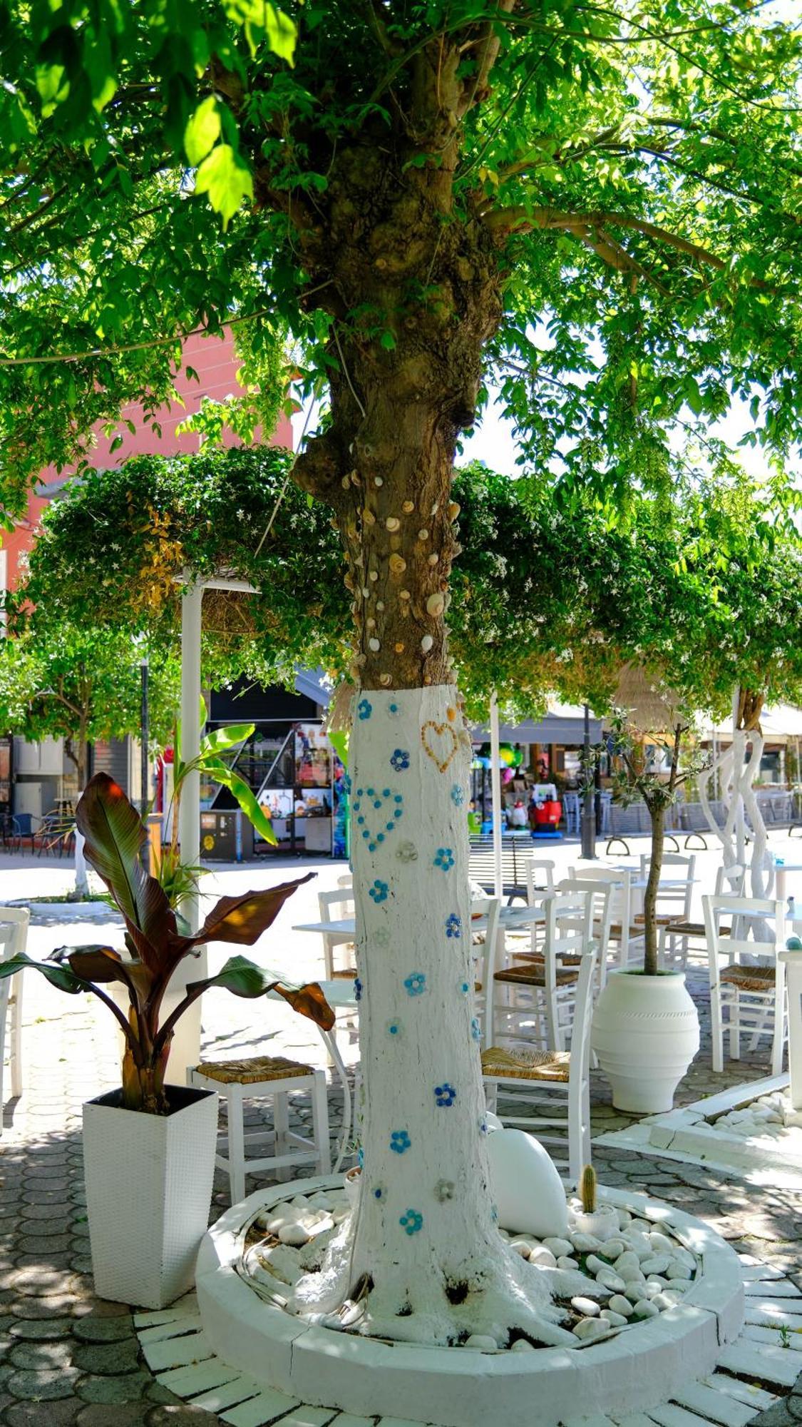 Cocoon Hotel-Beach Bar サルティ エクステリア 写真